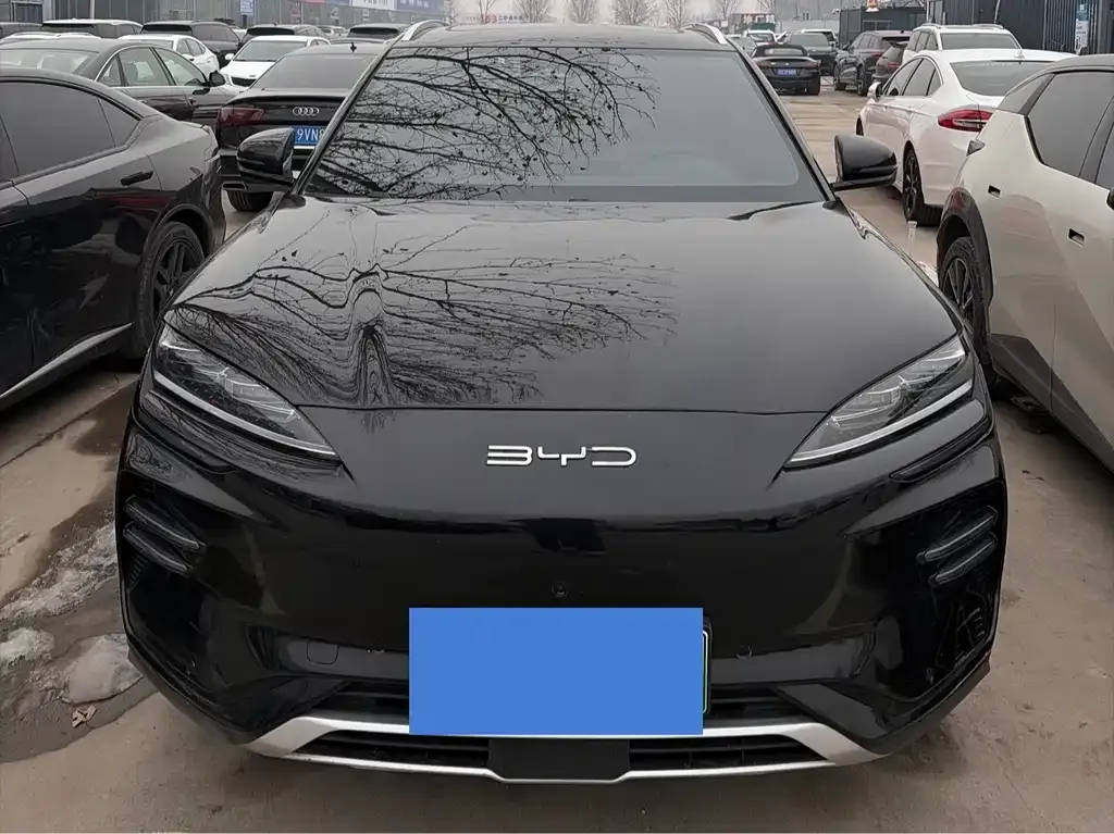 BYD PLUS New Energy — фото 8