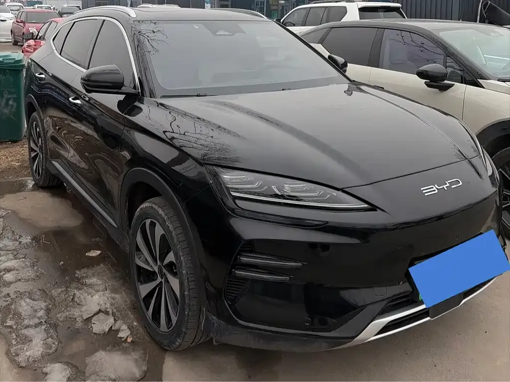 BYD PLUS New Energy — фото 10