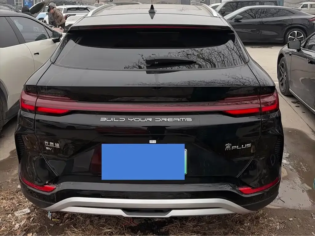 BYD PLUS New Energy — фото 9
