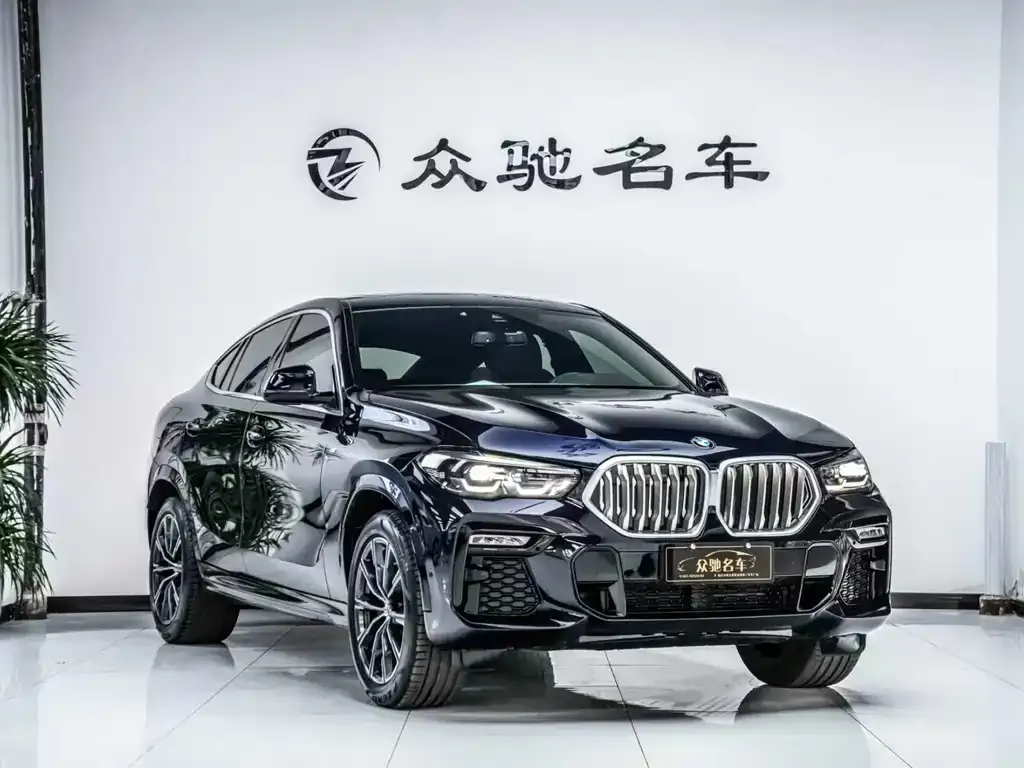 BMW X6 — фото 10