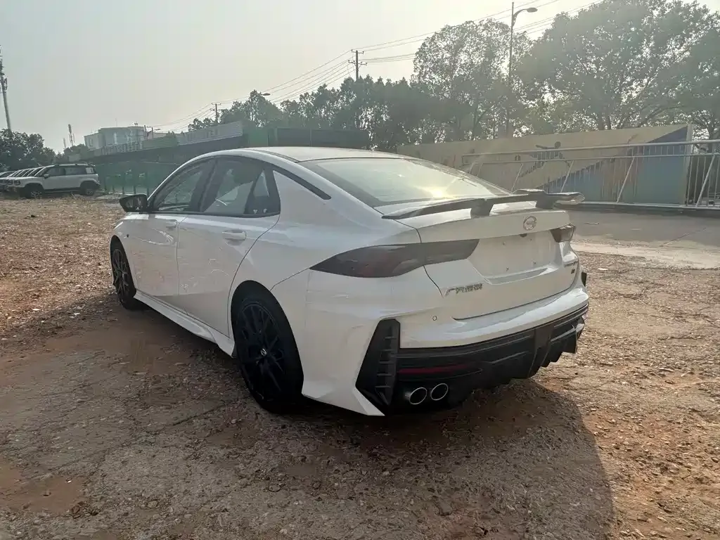 GAC Motor Shadow Leopard — фото 7