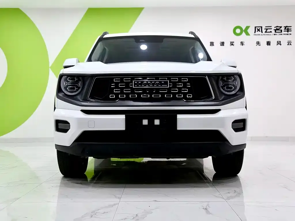 Haval H7 (Big Dog Plus) — фото 2