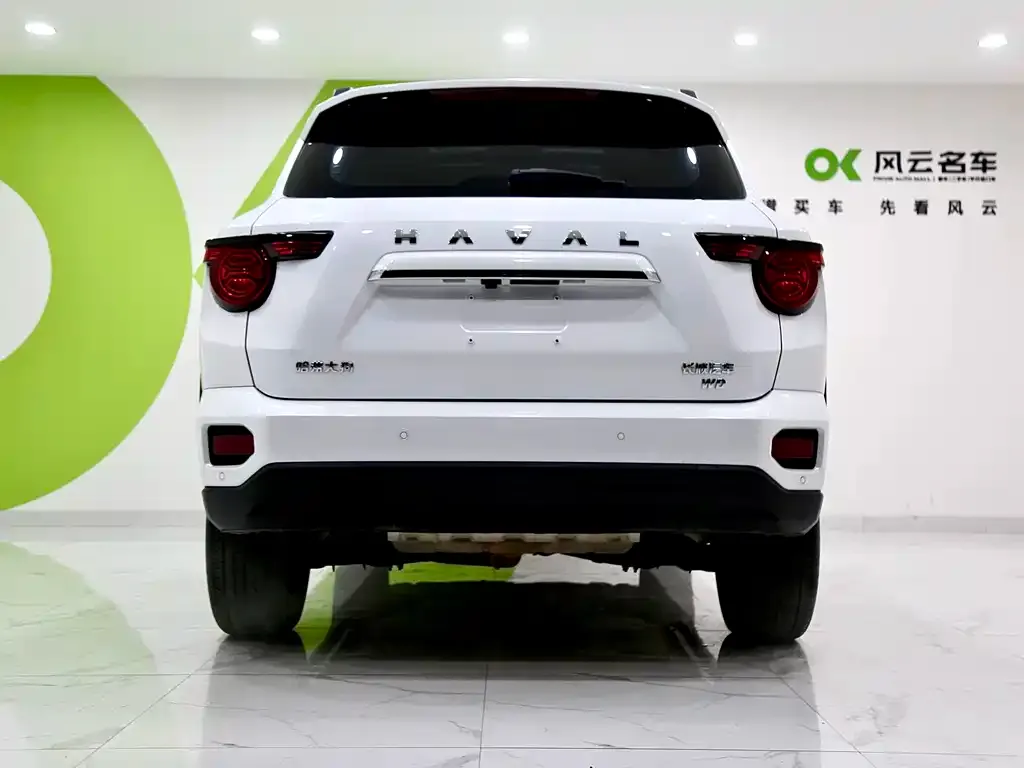 Haval H7 (Big Dog Plus) — фото 3