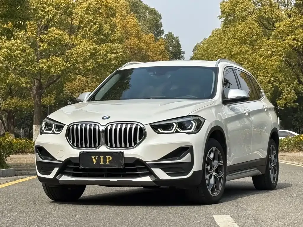 BMW X1 — фото 1