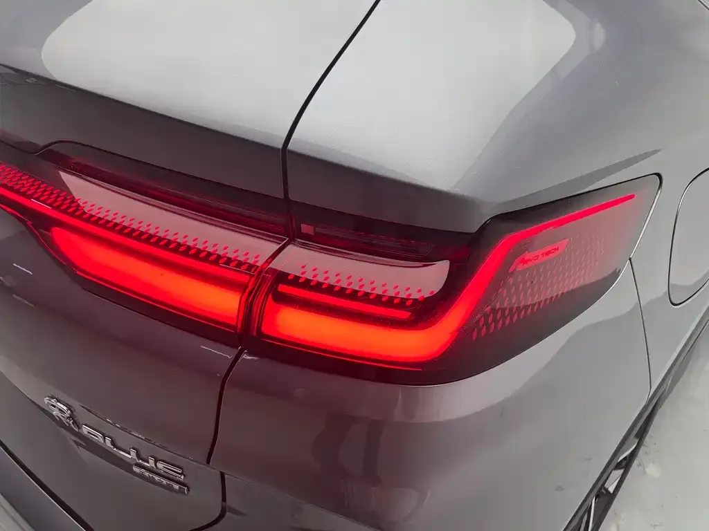 BYD PLUS New Energy — фото 4