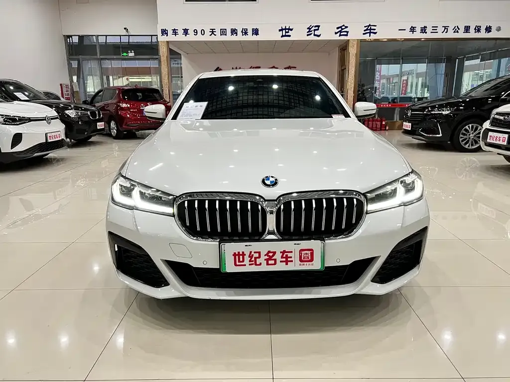 BMW 5 Series New Energy — фото 4