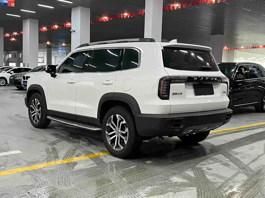 Haval Big Dog — фото 8