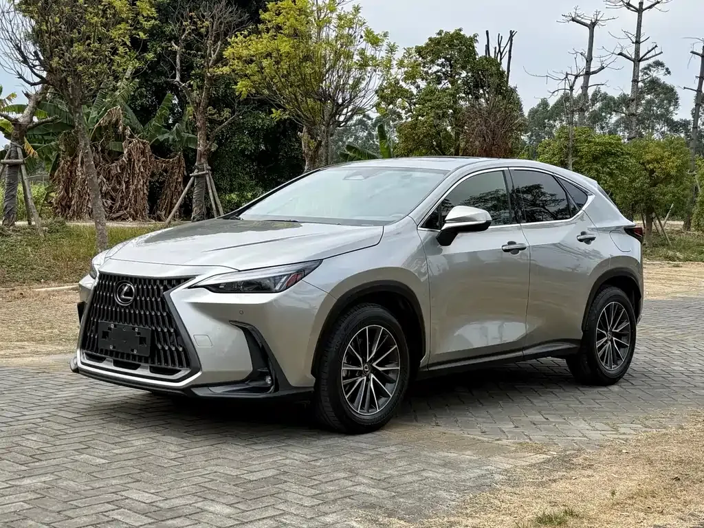 Lexus NX — фото 1