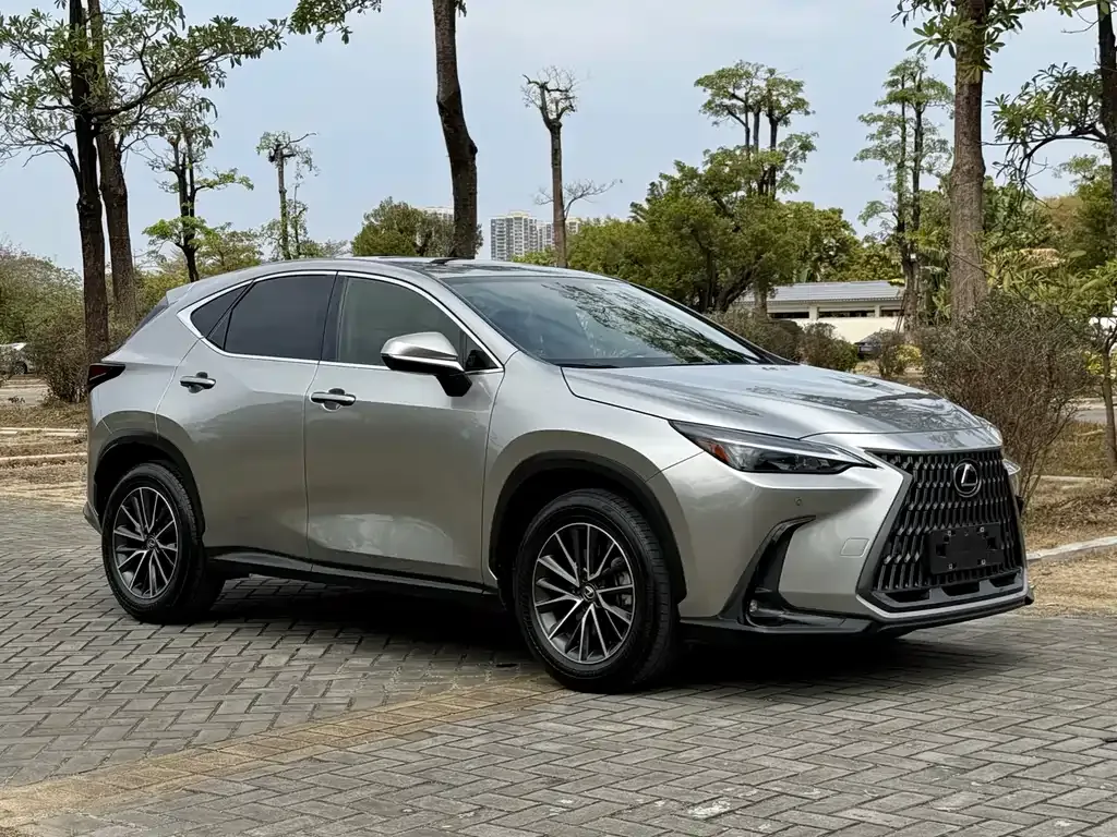 Lexus NX — фото 10