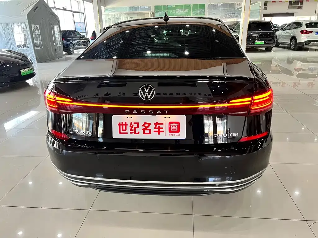 Volkswagen Passat — фото 3