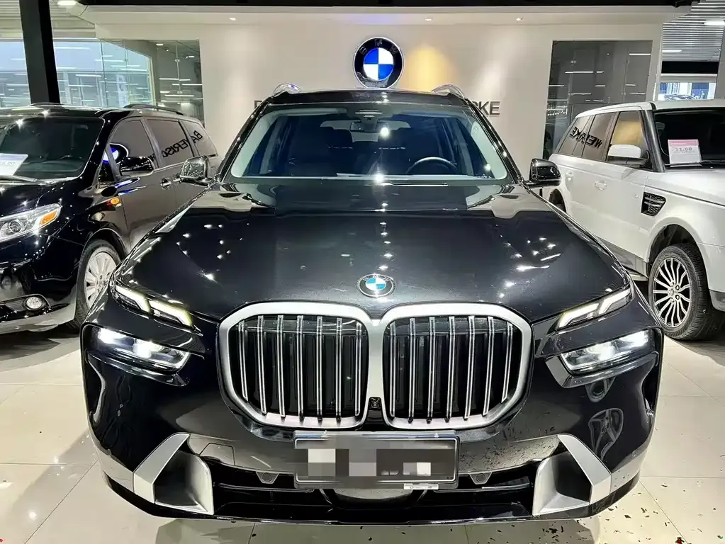 BMW X7 — фото 9
