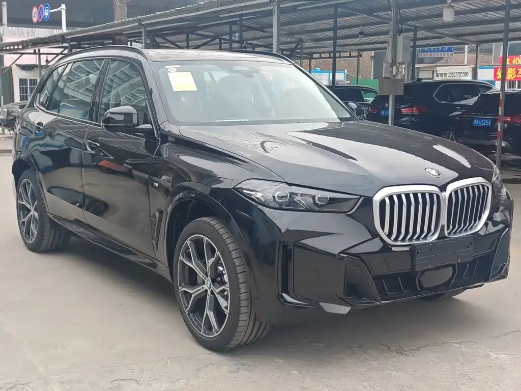 BMW X5 — фото 9