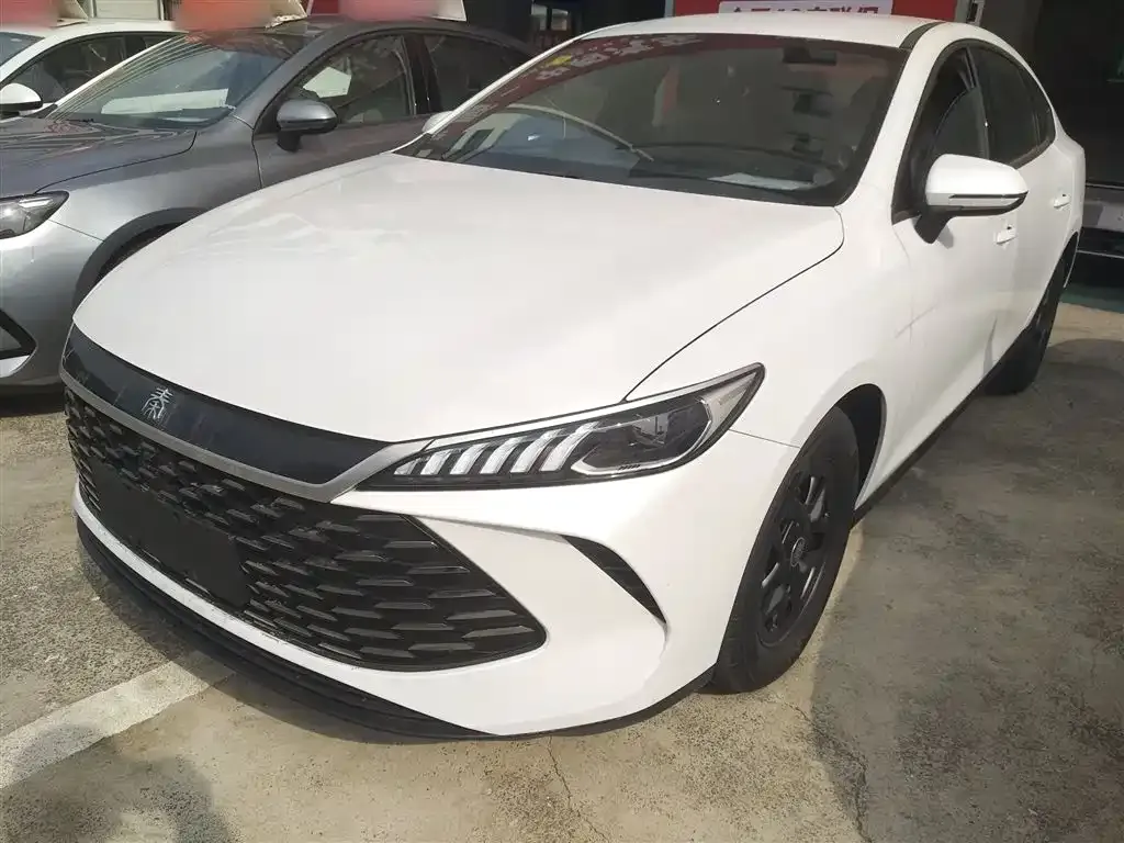 BYD Qin PLUS — фото 10