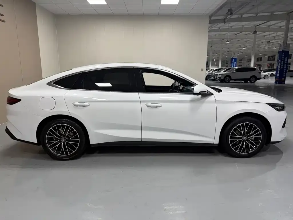 BYD Qin L — фото 10