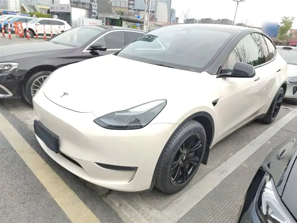 Tesla Model Y — фото 1