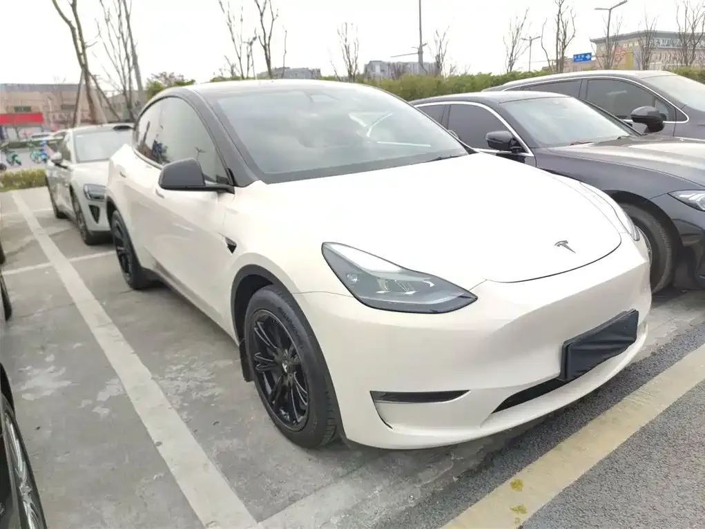 Tesla Model Y — фото 3