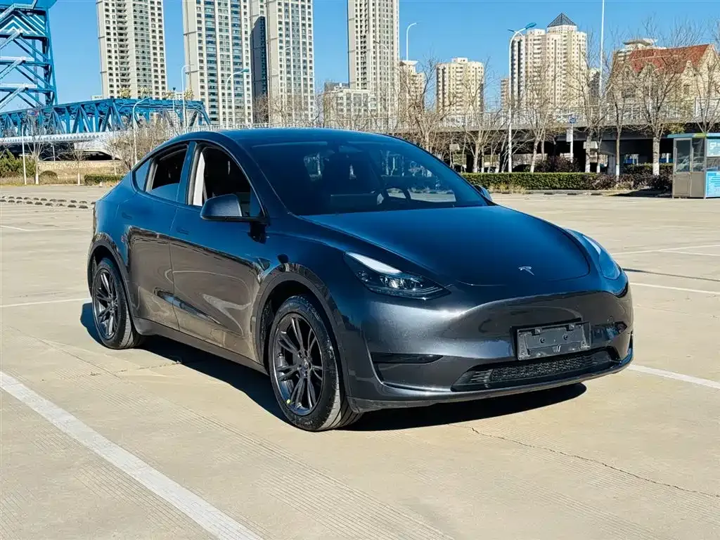 Tesla Model Y — фото 7