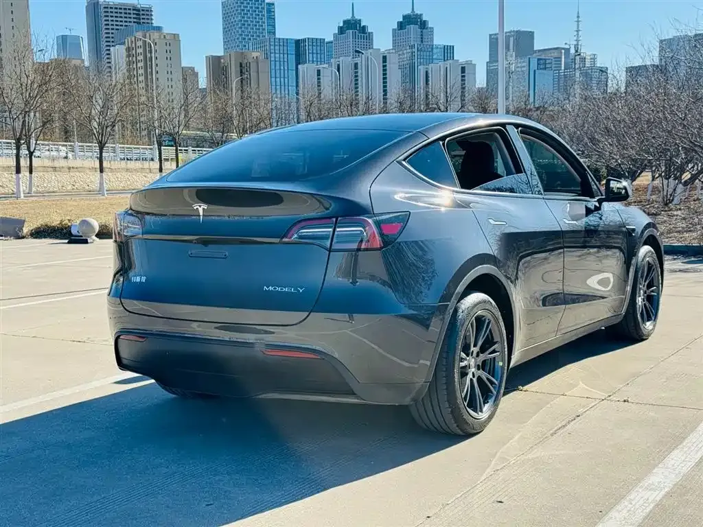 Tesla Model Y — фото 5