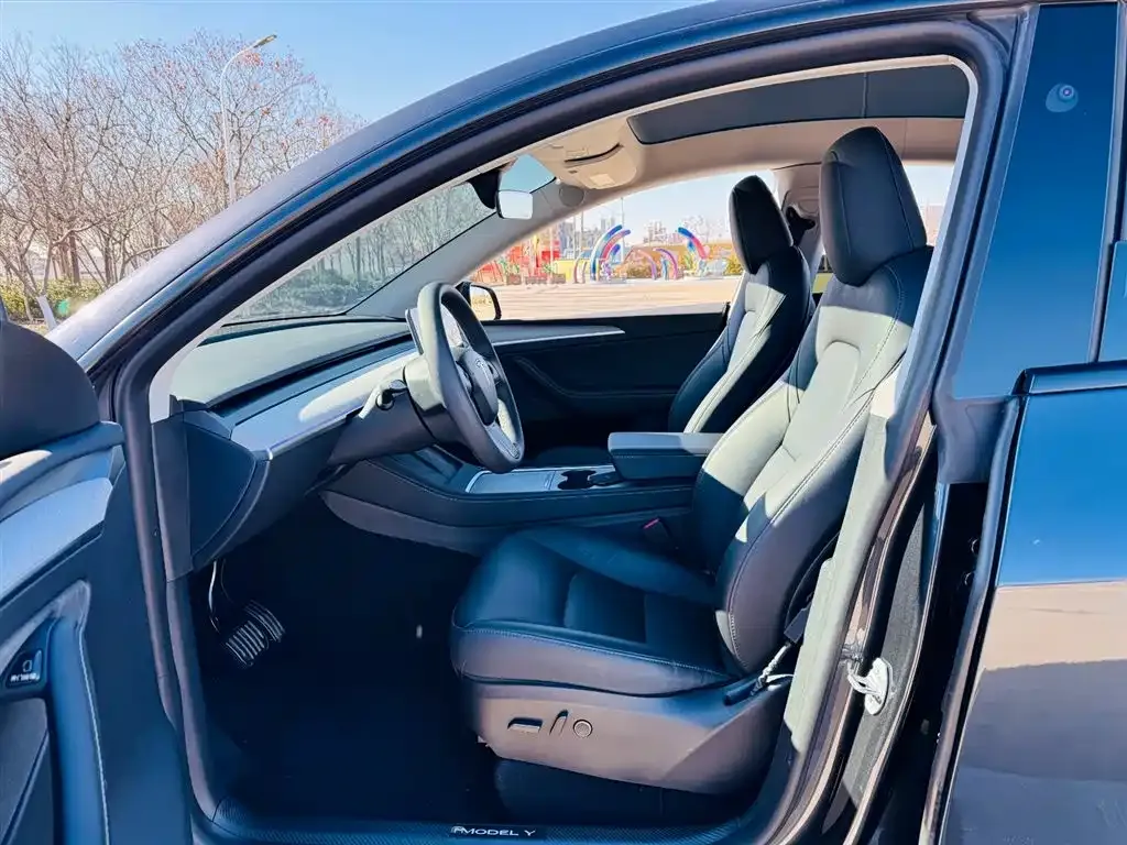 Tesla Model Y — фото 10