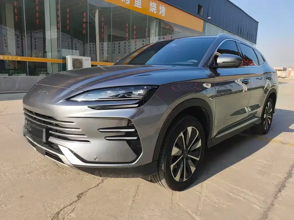 BYD PLUS New Energy — фото 1
