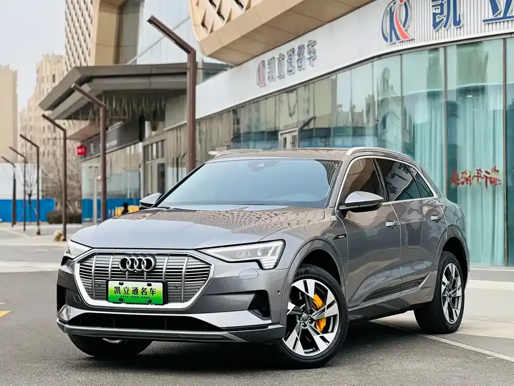 Audi e-tron (Import) — фото 1