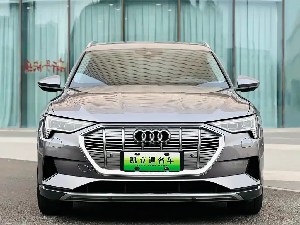 Audi e-tron (Import) — фото 10