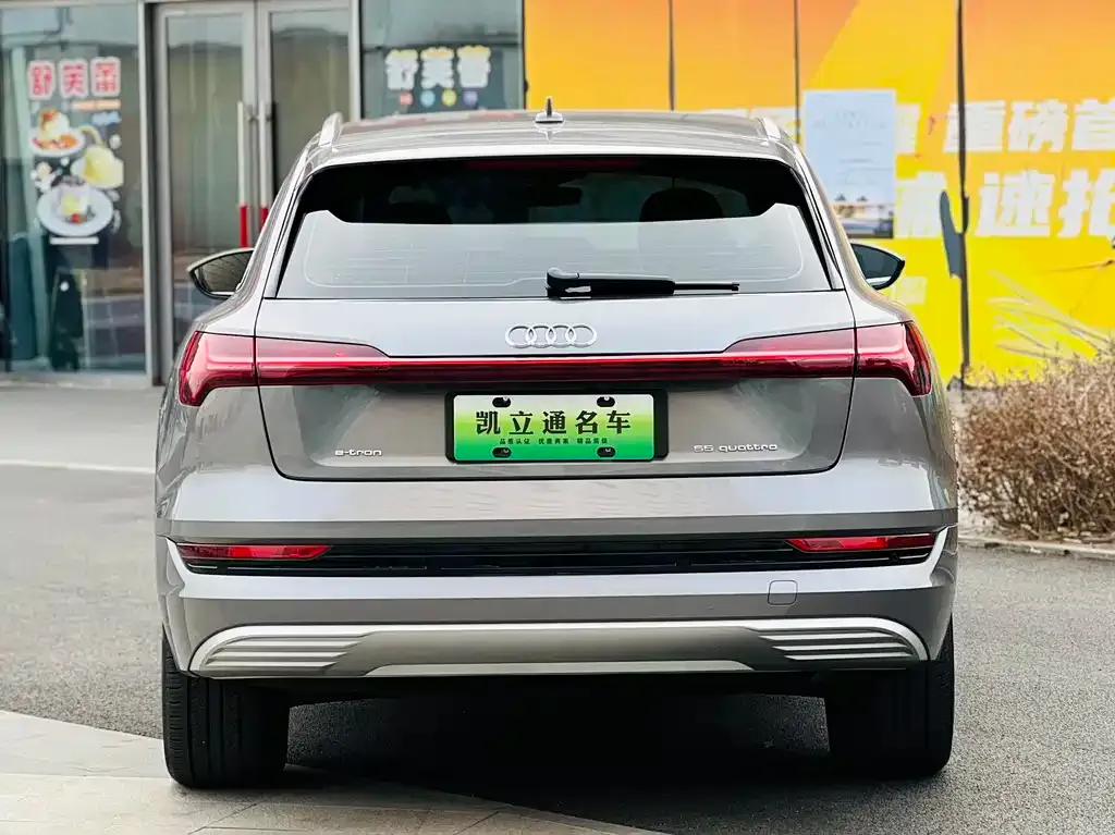 Audi e-tron (Import) — фото 4