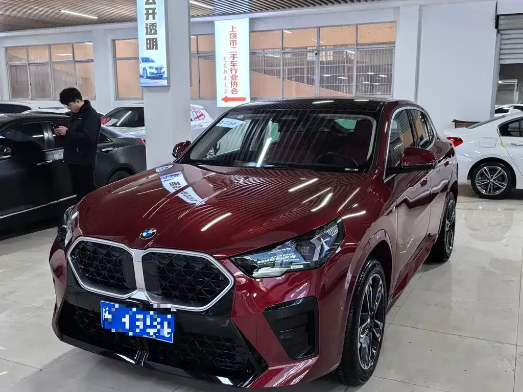 BMW X2 (Import) — фото 1