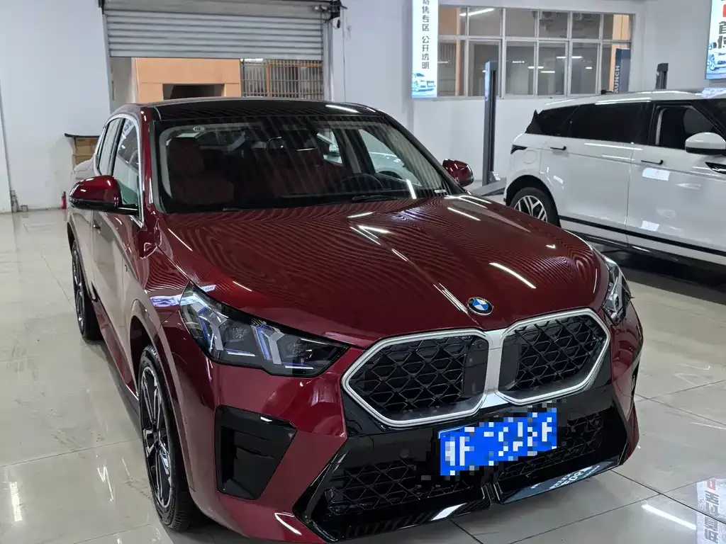 BMW X2 (Import) — фото 6