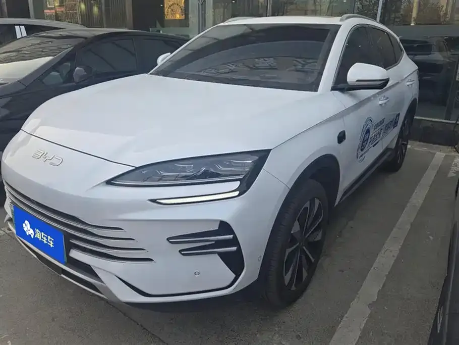 BYD PLUS New Energy — фото 1
