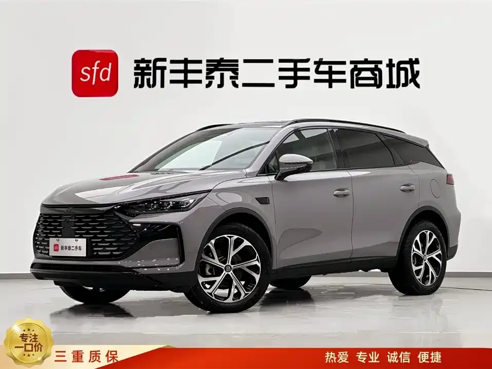 BYD Tang New Energy — фото 1