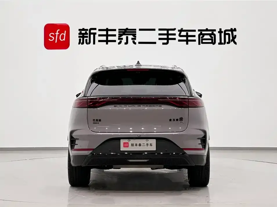 BYD Tang New Energy — фото 2