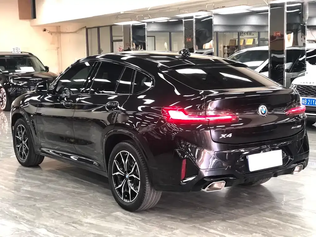 BMW X4 — фото 10