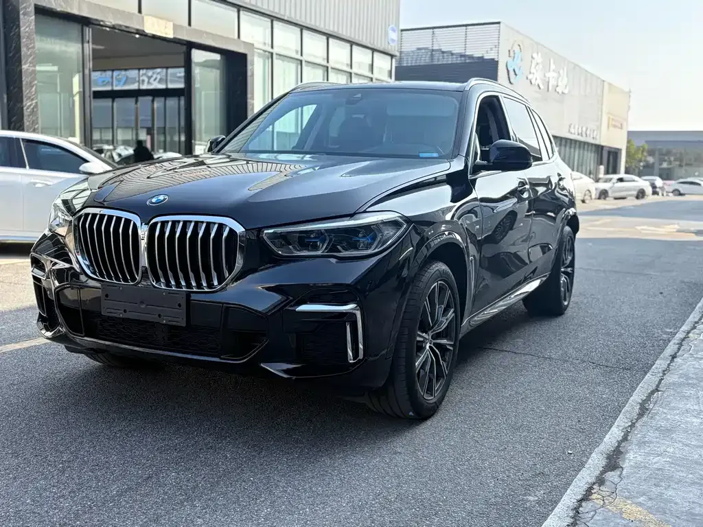 BMW X5 — фото 9
