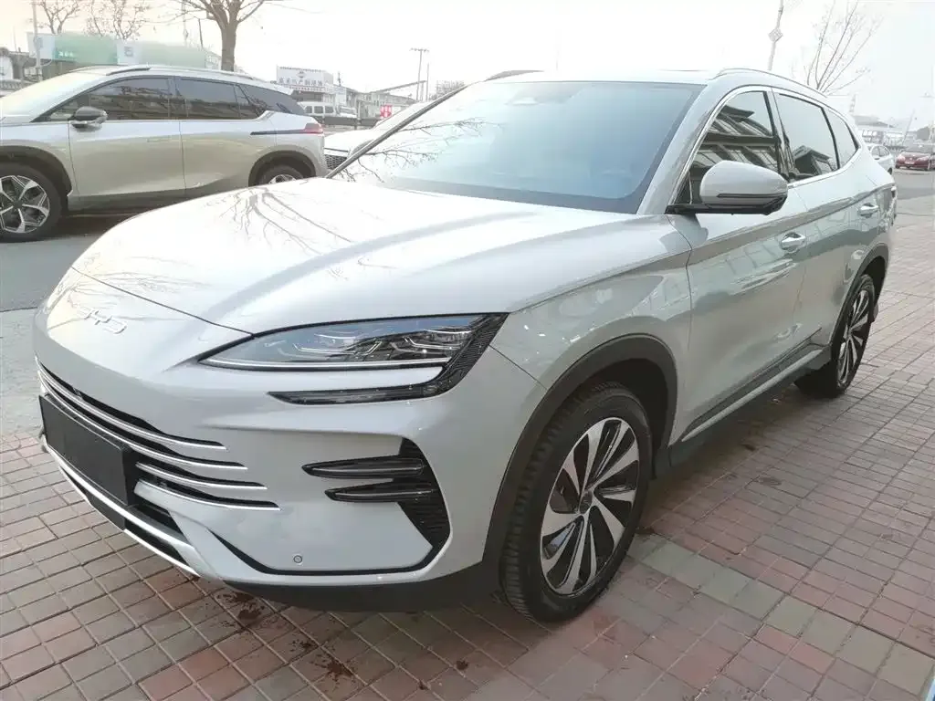 BYD PLUS New Energy — фото 1