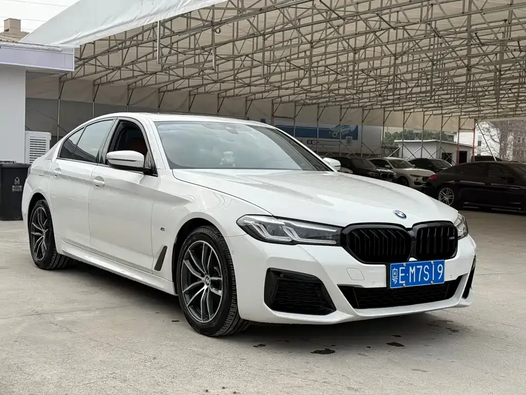 BMW 5 Series (Import) — фото 8