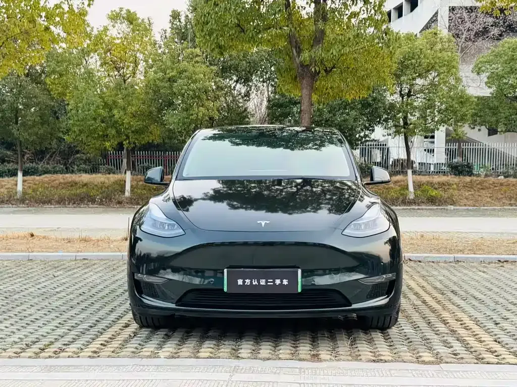 Tesla Model Y — фото 5