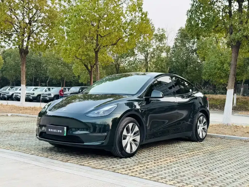 Tesla Model Y — фото 9