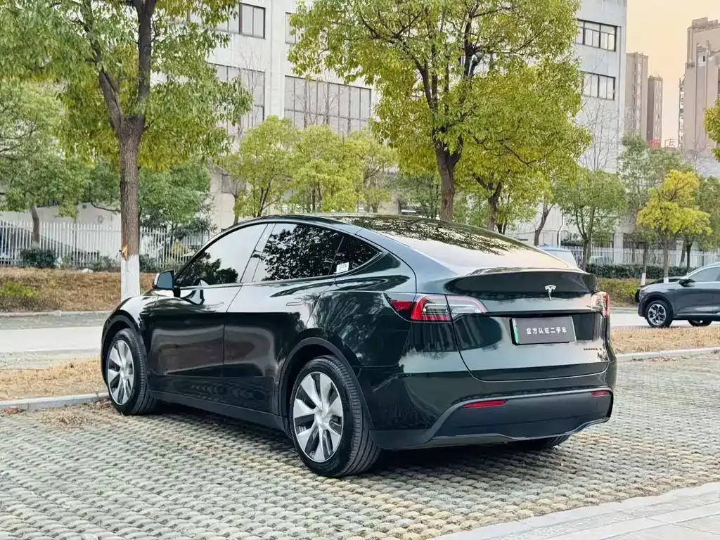 Tesla Model Y — фото 7