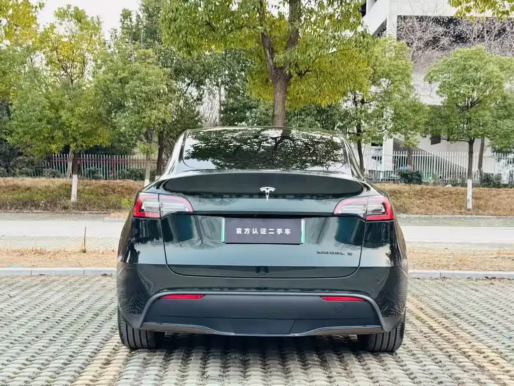 Tesla Model Y — фото 6