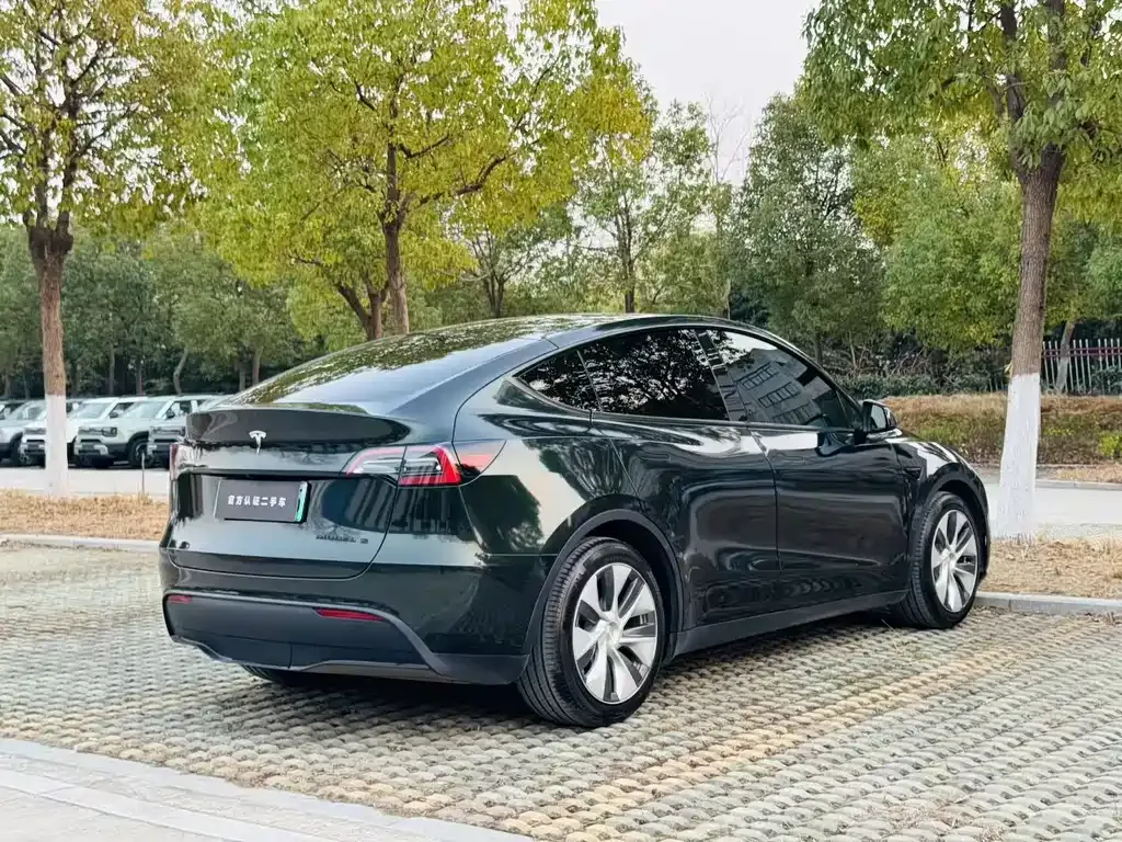 Tesla Model Y — фото 8