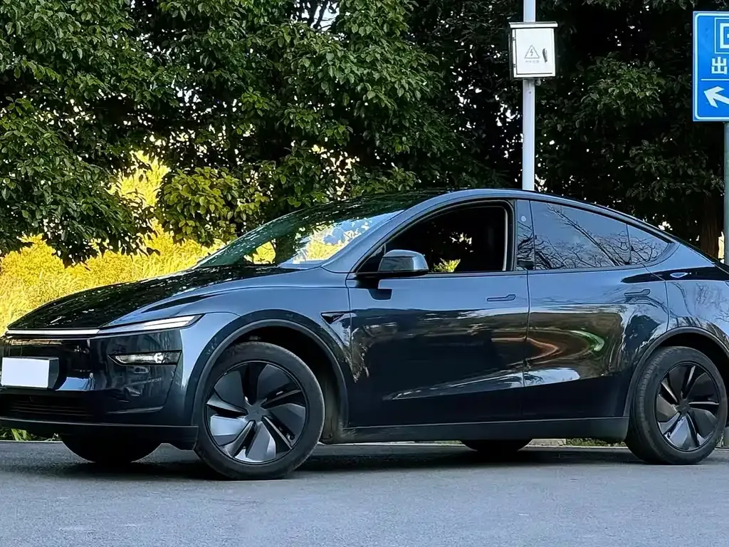 Tesla Model Y — фото 1