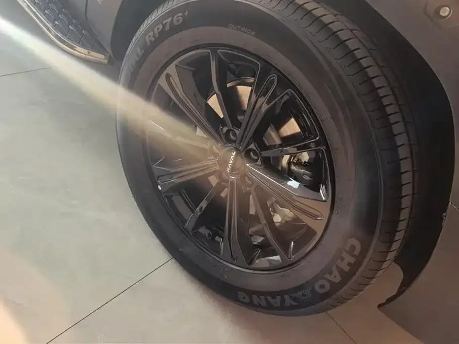 Haval Raptor — фото 10