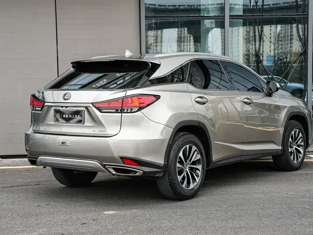 Lexus RX — фото 10