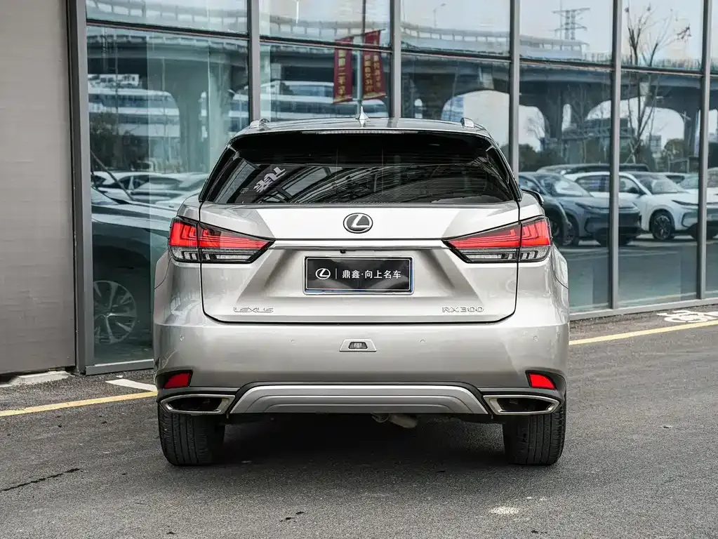 Lexus RX — фото 8
