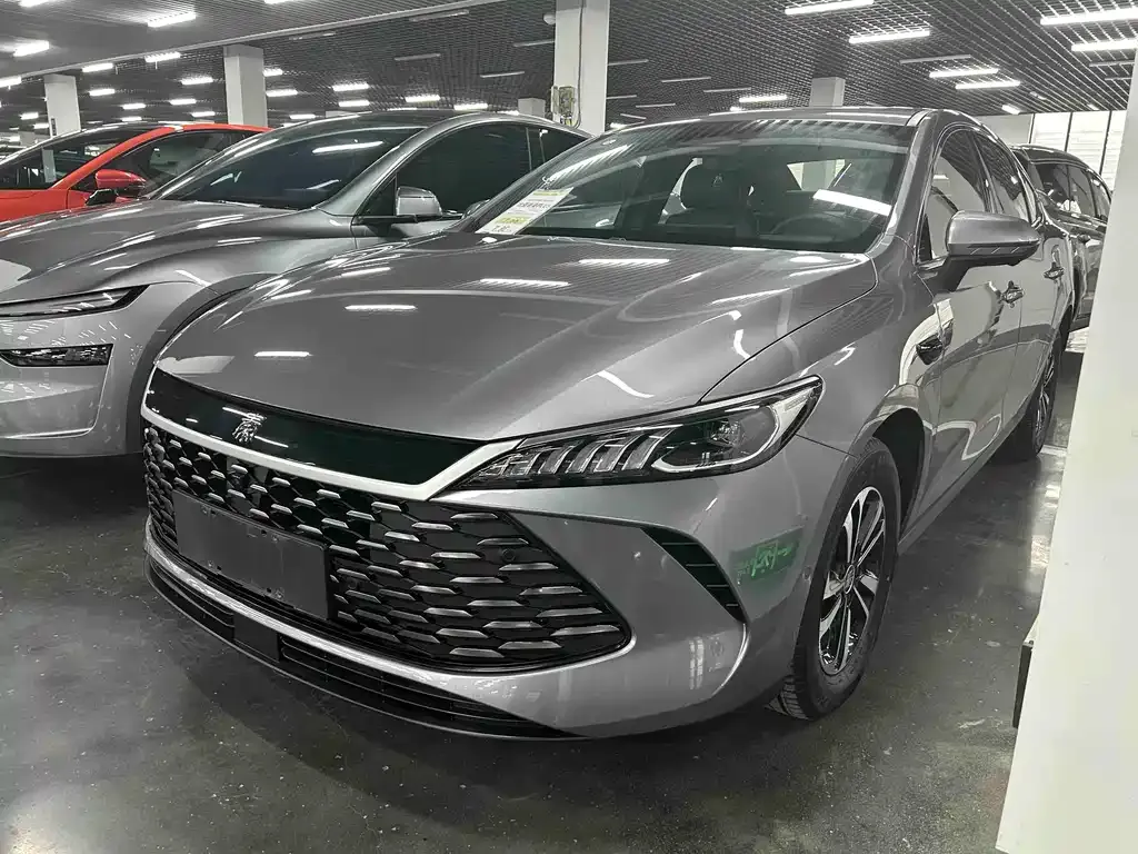BYD Qin PLUS — фото 1