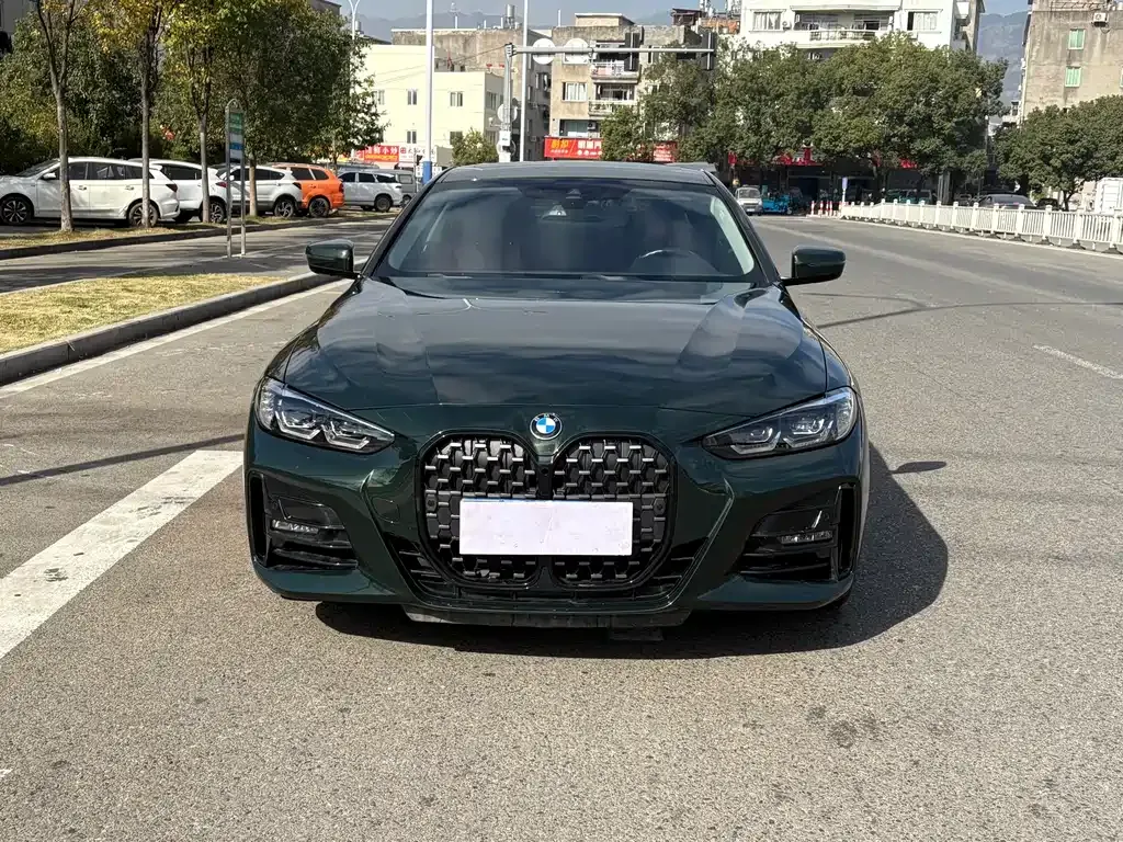 BMW 4 Series — фото 10