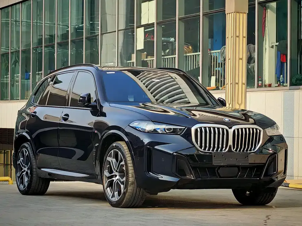 BMW X5 — фото 6