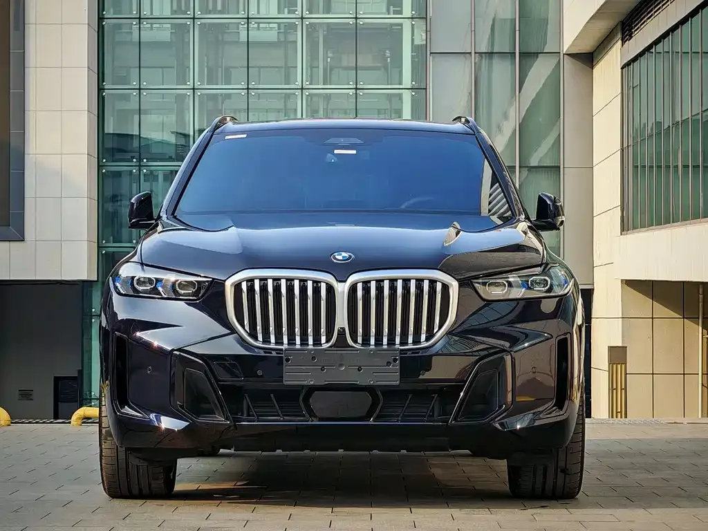 BMW X5 — фото 2