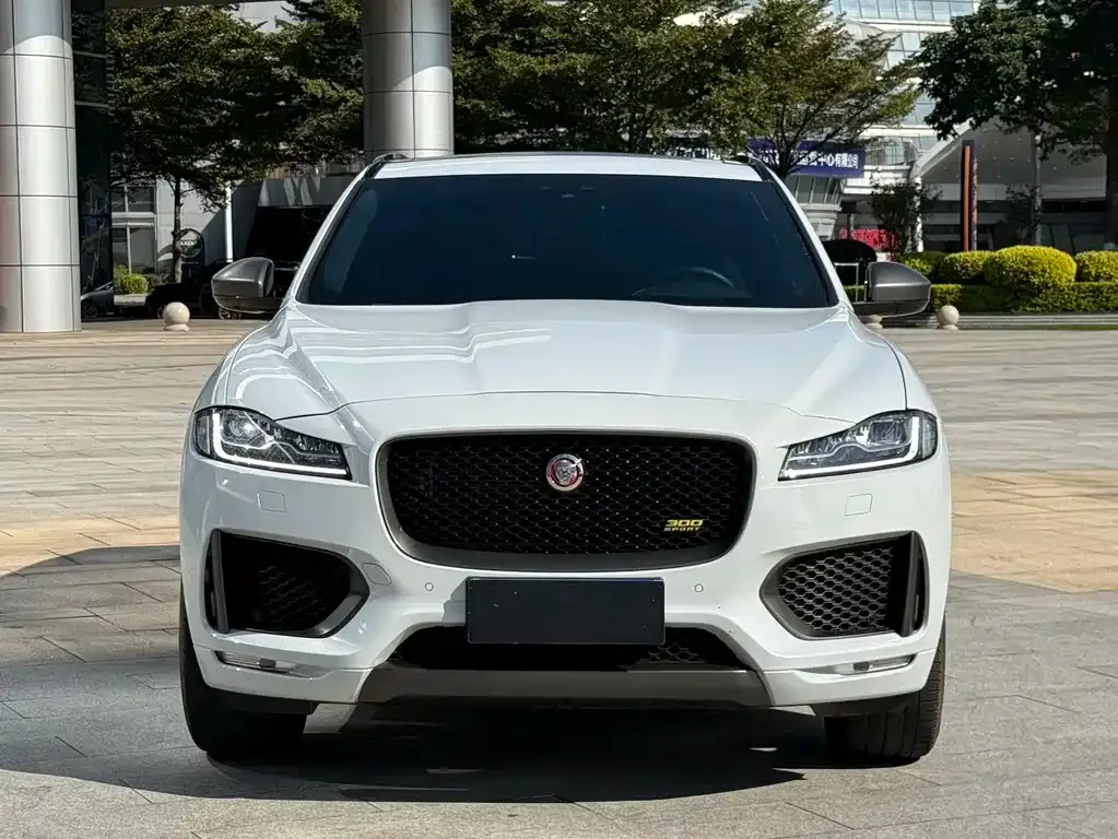 Jaguar F-PACE — фото 5